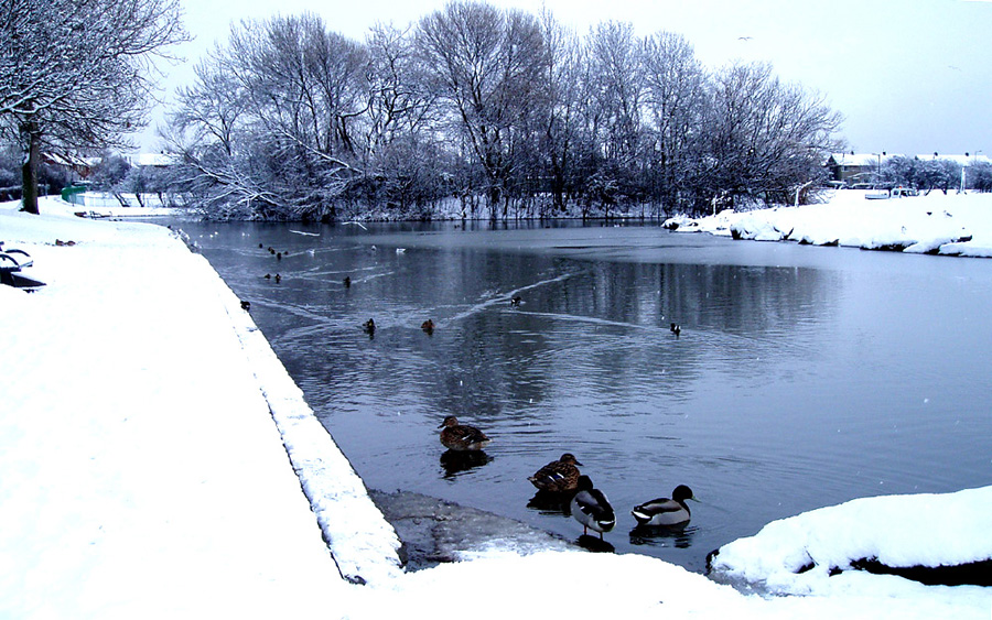 Oliver Henderson Park